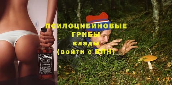 ПСИЛОЦИБИНОВЫЕ ГРИБЫ Каменка