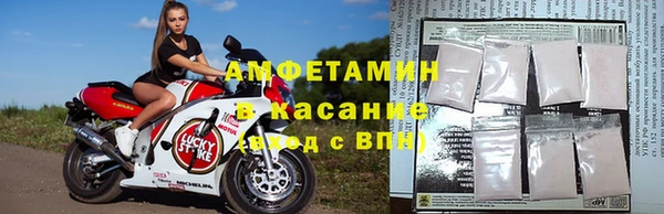 ПСИЛОЦИБИНОВЫЕ ГРИБЫ Каменка