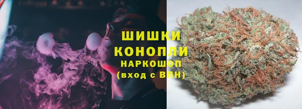 ПСИЛОЦИБИНОВЫЕ ГРИБЫ Каменка